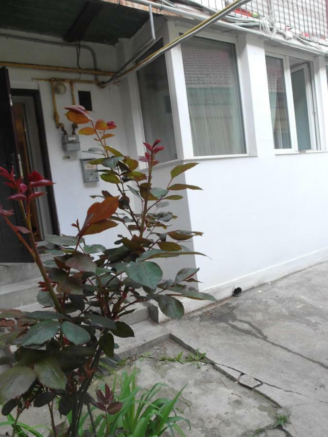 Studio Moliere Brasov Exterior photo